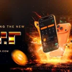 Why is the XRP Price Rallying Today?